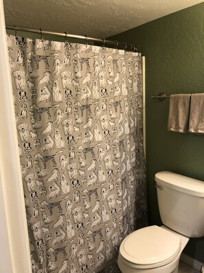 Regadera, toallas, jabón, shampoo 