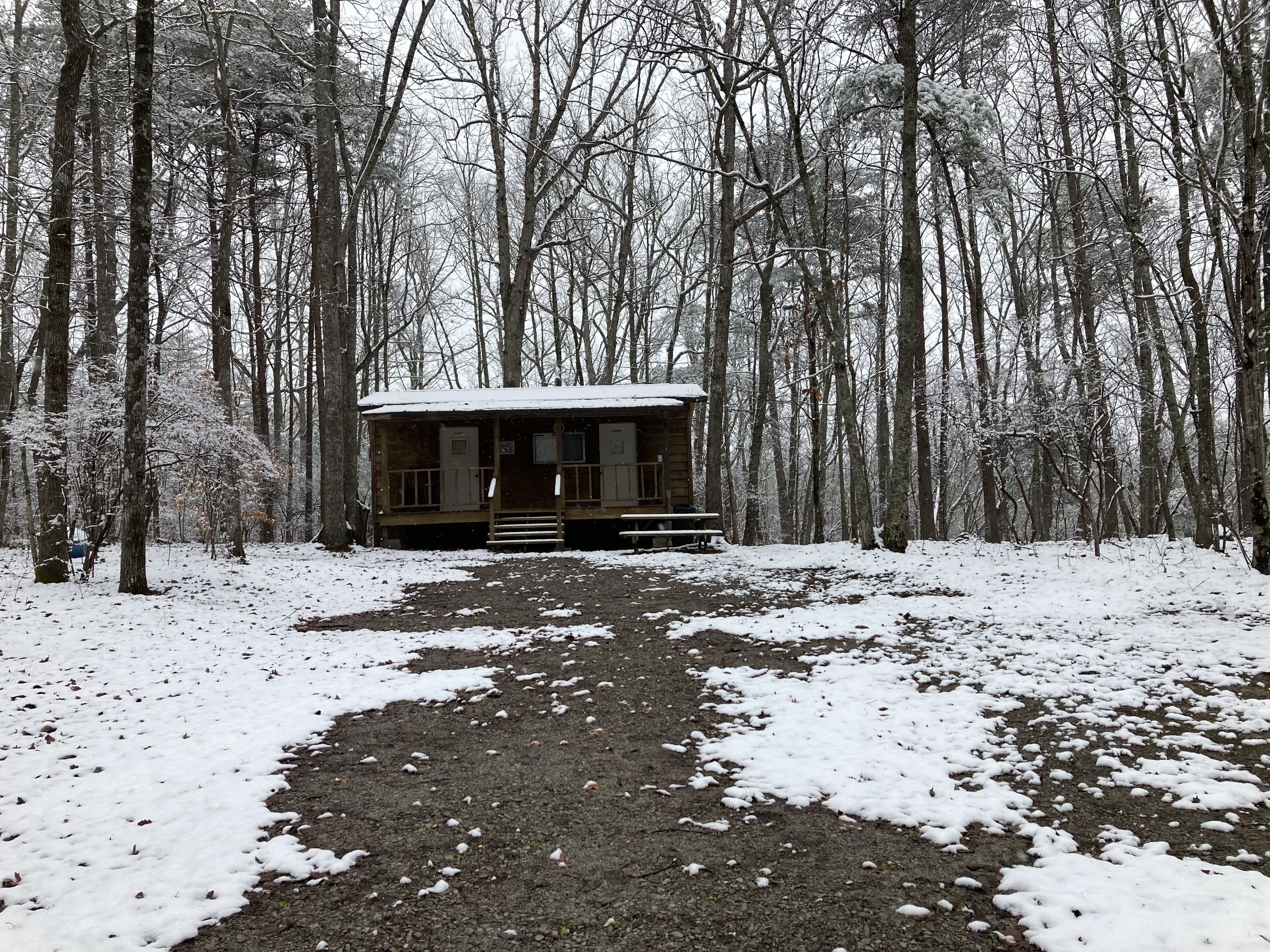 Une cabane au cœur d’une forêt enneigée, accessible par un sentier de terre.