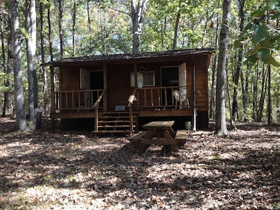 2BR Cabin in Bankhead National Forest of N Alabama