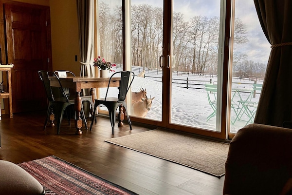 1 bedroom, premium bedding, pillow-top beds, individually decorated