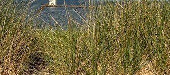 Latitude Adjustment II - SIMPLY GORGEOUS WITH GREAT LOCATION CLOSE TO DOWNTOWN!