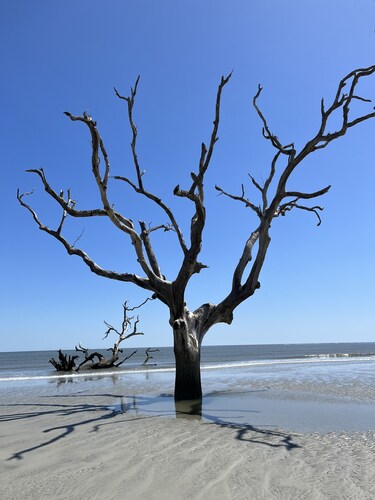 Private Cottage next to Hunting Island State Park and 5 min from the beach 