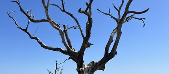 Private Cottage next to Hunting Island State Park and 5 min from the beach 