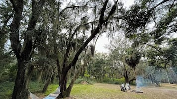 Una hamaca atada entre dos árboles en un área boscosa, con un campamento al fondo.