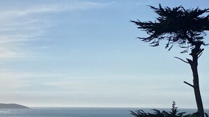 Blick auf die Küste mit einem markanten Baum im Vordergrund, einem Strand und einer fernen Uferlinie.