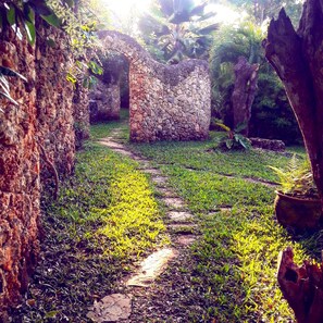 Property grounds - Tiwani Sunset, a little piece of Eden (Tiwi)