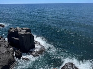 Property grounds - Have a Tasmanian adventure—beautiful scenery/plenty of room options (Devonport)