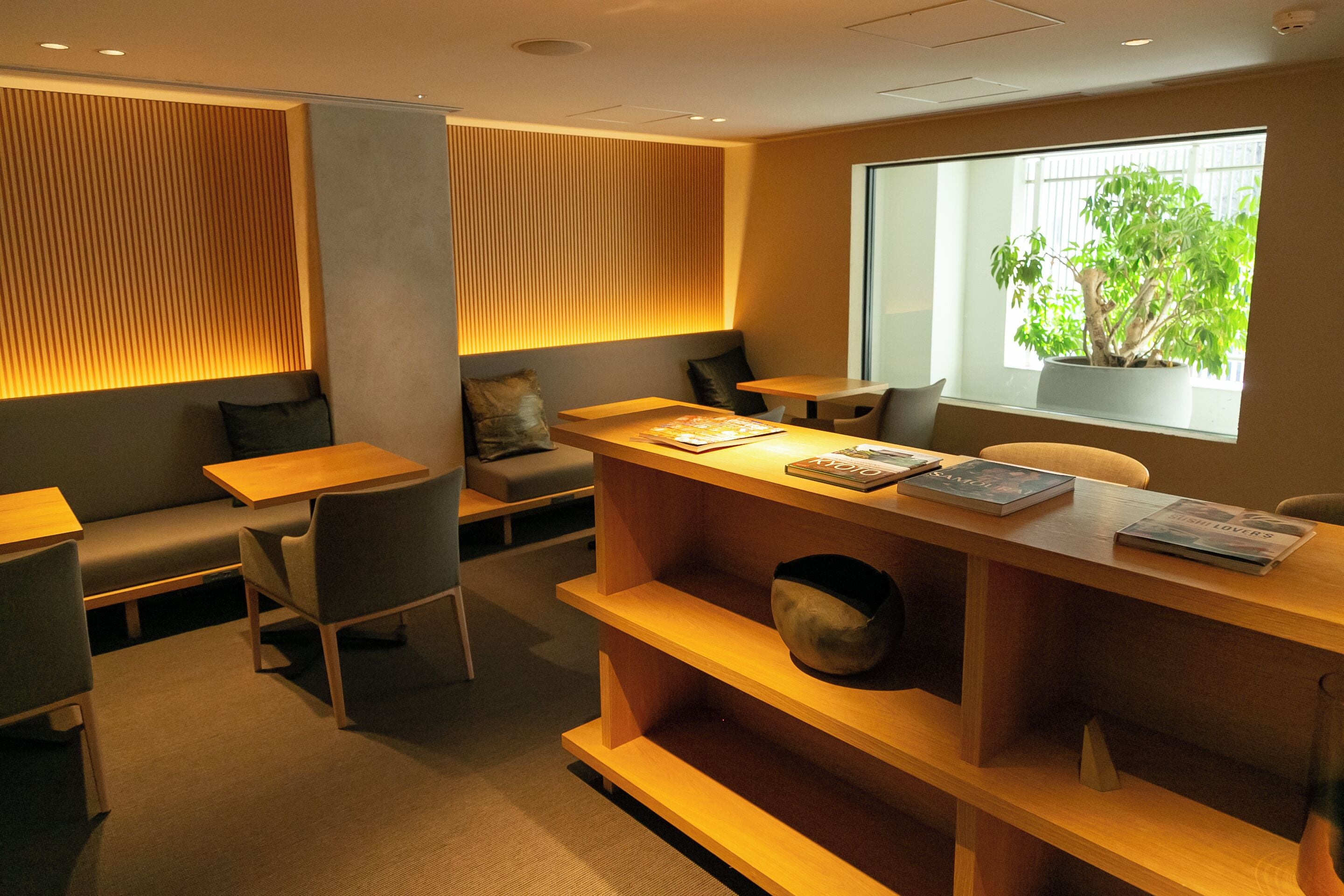 A modern, well-lit room with a wooden reception desk, seating area, and a large window with a view of greenery.