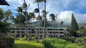 Un hotel de varios pisos, rodeado de abundante vegetación y palmeras.