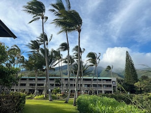 Un hôtel à plusieurs étages, entouré d’une végétation luxuriante et de palmiers.