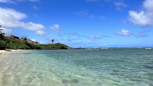 Una playa con aguas claras y poco profundas, una orilla arenosa y una pequeña colina con vegetación y una palmera.