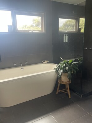 Ducha, secador de pelo, jabón y champú