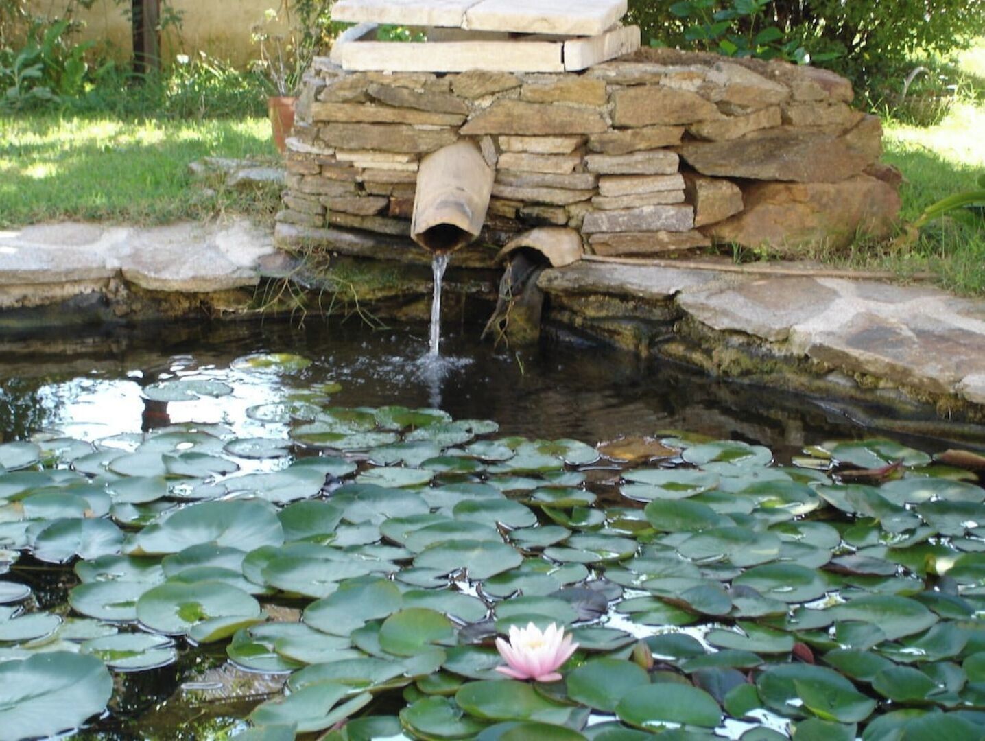 Terrein van de accommodatie