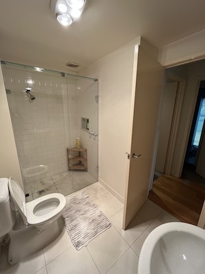 Shower, hair dryer, towels, soap