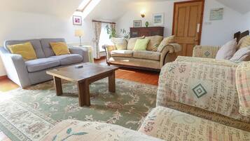 智能電視、壁爐、書籍、音響