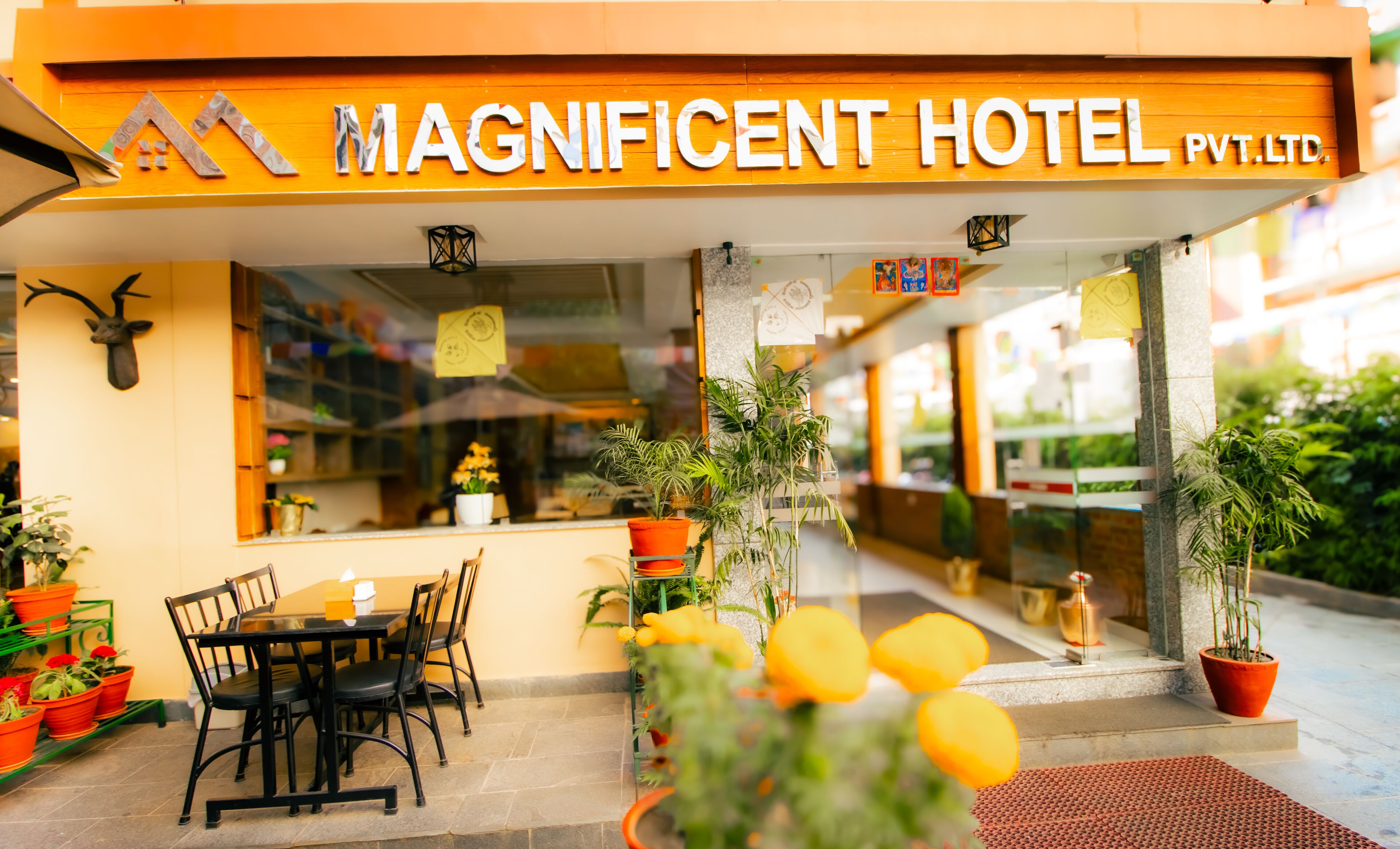 Foto - Magnificent Hotel