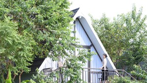 A modern, triangular-shaped building surrounded by lush greenery. - Family 64 Home (Van Ho)