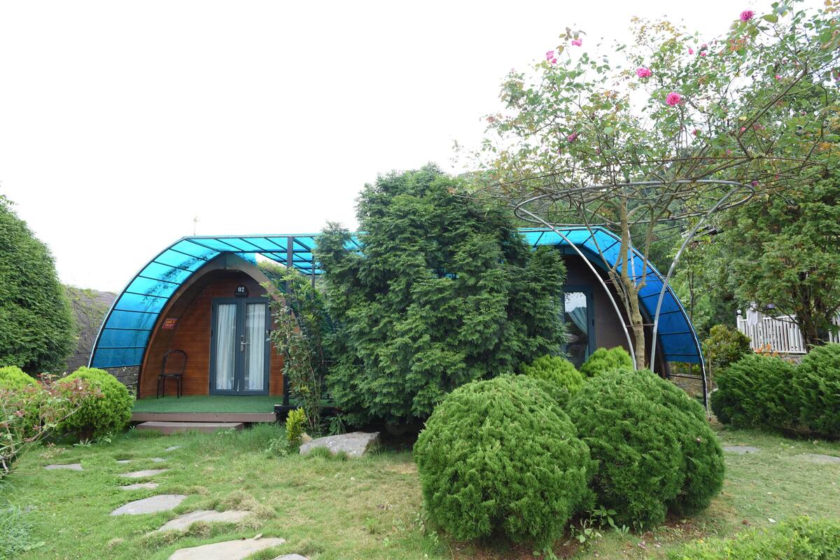 Une maison moderne en forme de dôme, dotée d’une porte en bois et d’un petit porche.