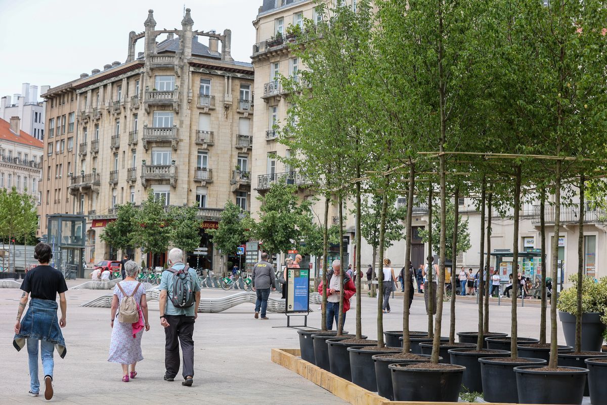 Una plaza pública con una fila de árboles en macetas, una fuente y edificios históricos al fondo.