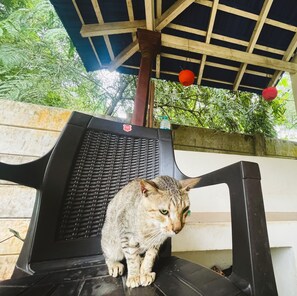 Enceinte de lâhĂ©bergement