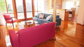 TV, fireplace, Netflix, books