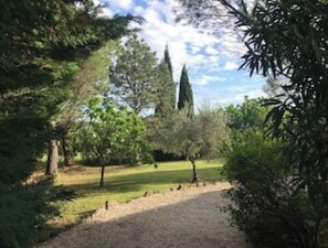 Áreas de la propiedad