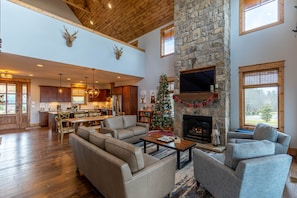 TV, fireplace