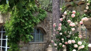Un edificio de piedra con una ventana y un rosal al frente.