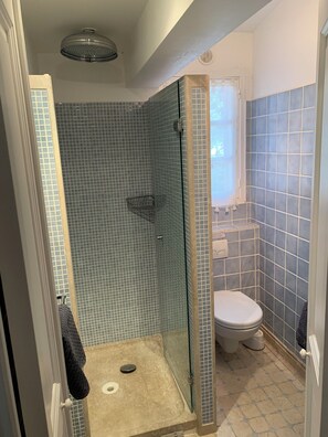 Shower, hair dryer, bidet, towels