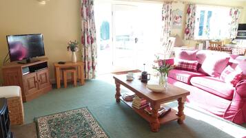 Smart TV, fireplace, DVD player, books