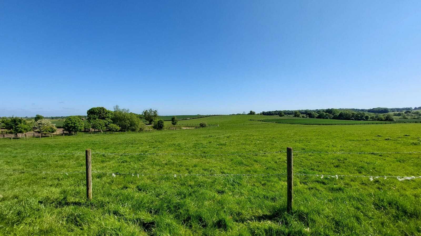 A grassy field with a wooden fence and trees in the background.