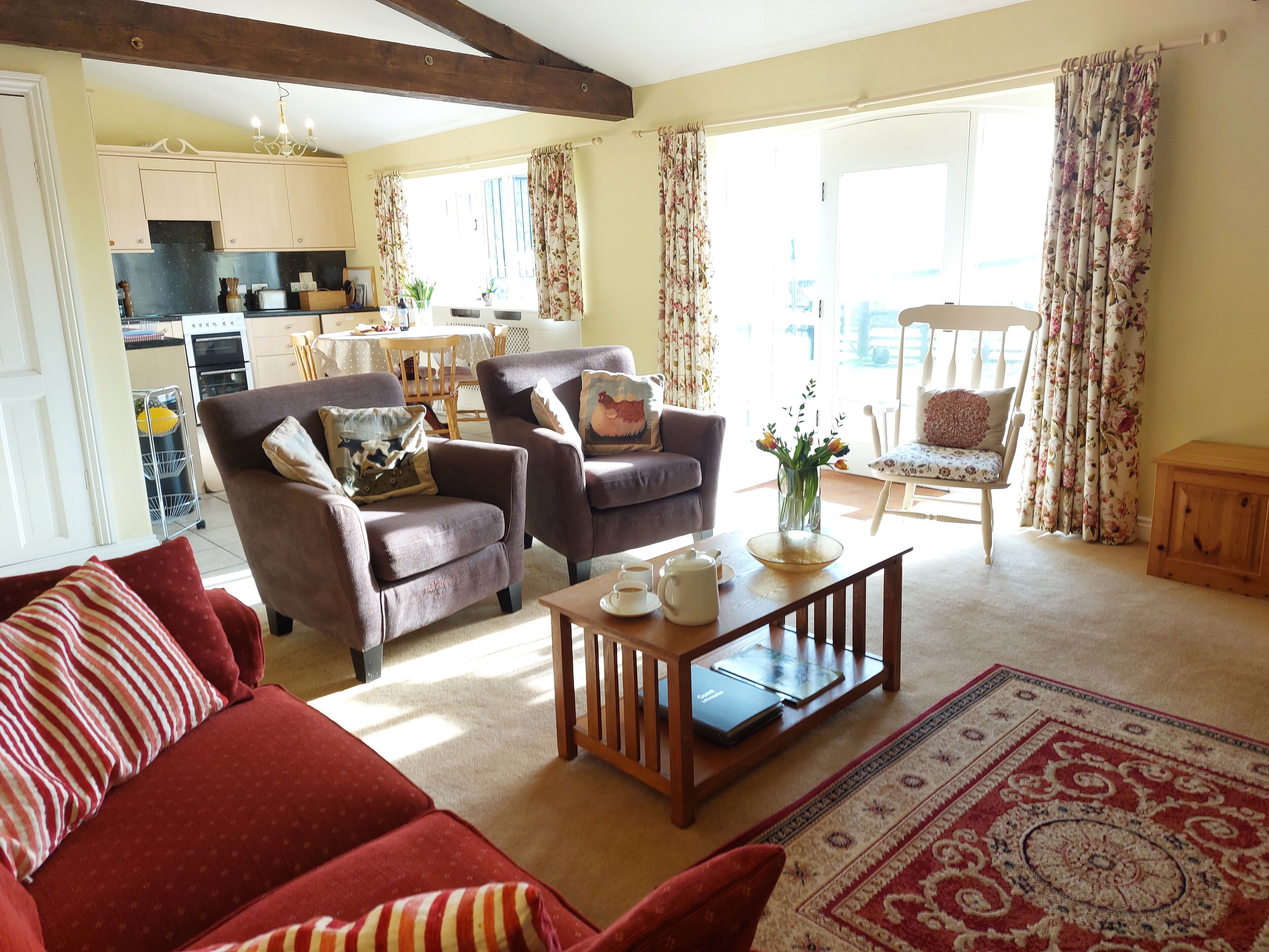 TV connectée, cheminée, lecteur de DVD, livres