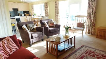 TV connectée, cheminée, lecteur de DVD, livres