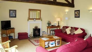 TV connectée, cheminée, lecteur de DVD, livres