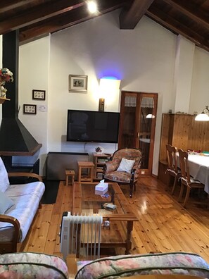 Smart TV, fireplace, DVD player, books