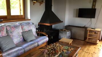 Een smart-tv, een open haard, een dvd-speler en boeken