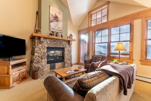 Télévision, cheminée, lecteur de DVD