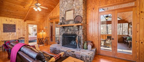 TV, fireplace, books