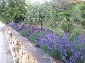 Parco della struttura