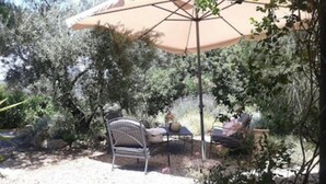 A patio with a table and chairs under a large umbrella, surrounded by trees and rocks. -  Beautiful hillside holiday rental with sea views and pool (Nuoro)
