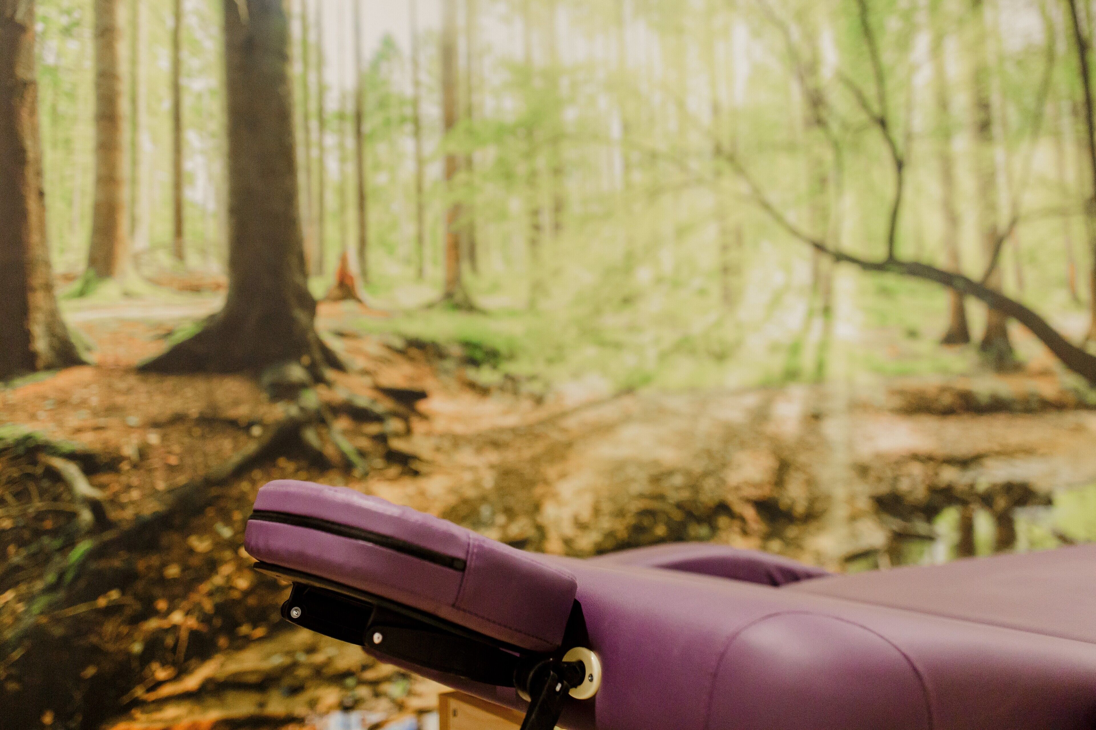 Un objeto morado con bisagra metálica, probablemente un mueble, en una habitación con un mural de un bosque en la pared.