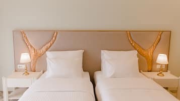 Deluxe Twin Room | Individually decorated, individually furnished, desk, laptop workspace