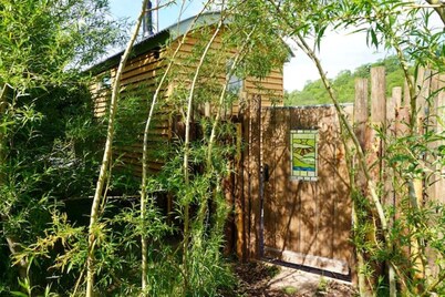 Steam & Stars Luxury Glamping -Willow shepherd hut