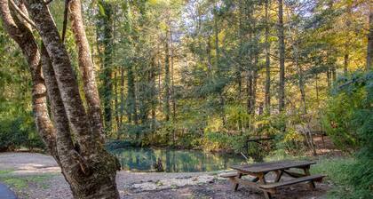 Family mountain cabin with room to spread out 20 minutes from Harrisonburg, VA..