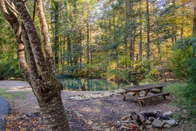 Family mountain cabin with room to spread out 20 minutes from Harrisonburg, VA..