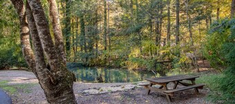 Family mountain cabin with room to spread out 20 minutes from Harrisonburg, VA..