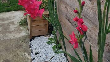 DĂ©tail de lâextĂ©rieur