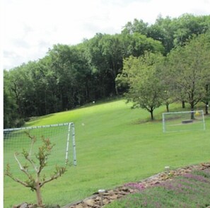 Cancha deportiva