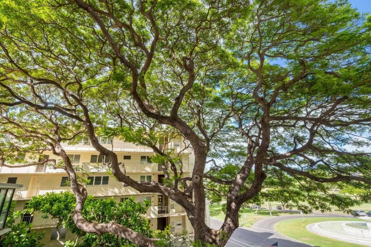 Un immeuble à plusieurs étages doté de balcons, entouré d’arbres verdoyants.