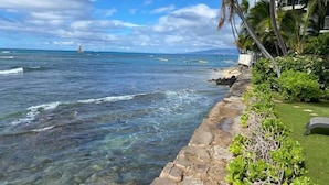Une vue sur la côte, avec un ciel dégagé, un sentier pavé et des palmiers.
